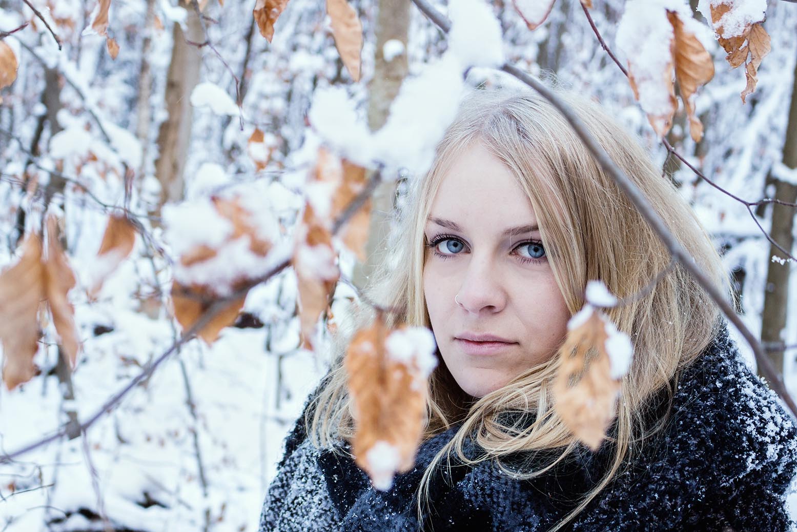 Ein Wintermärchen