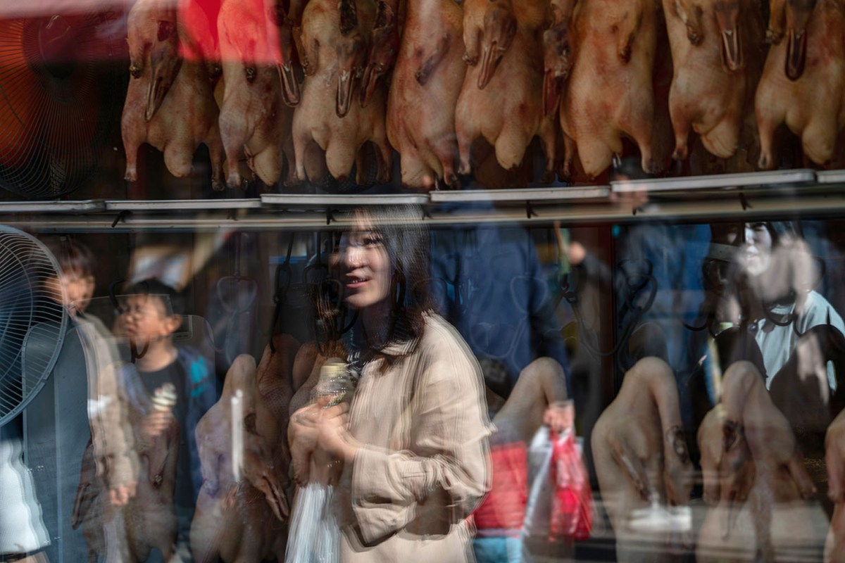 Girl and the Peking ducks