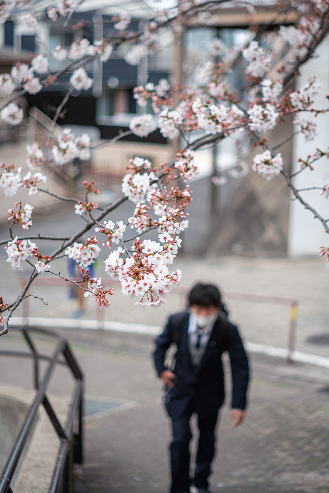 Hanami 2021, part 3