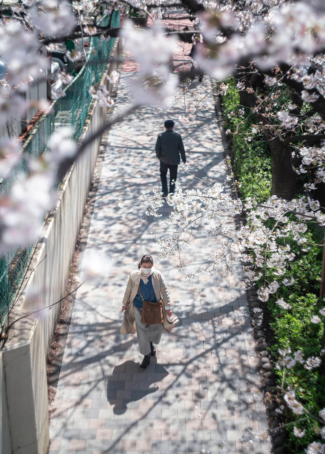 Hanami 2021, Part 1