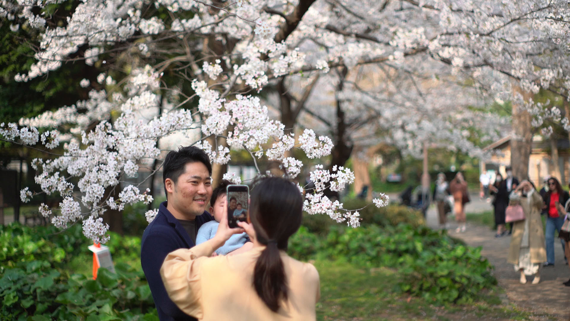 Hanami 2021, part 4