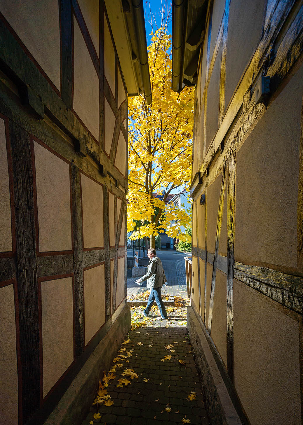 Autumn