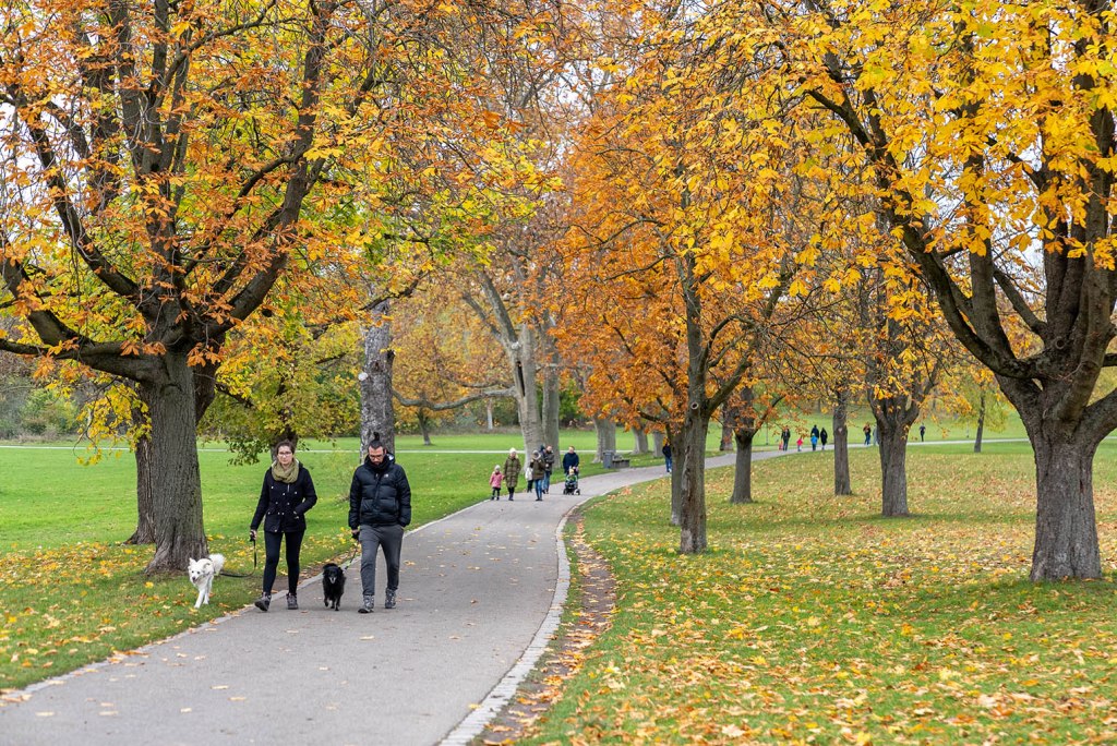 Autumn colours from Stuttgart, November 2023