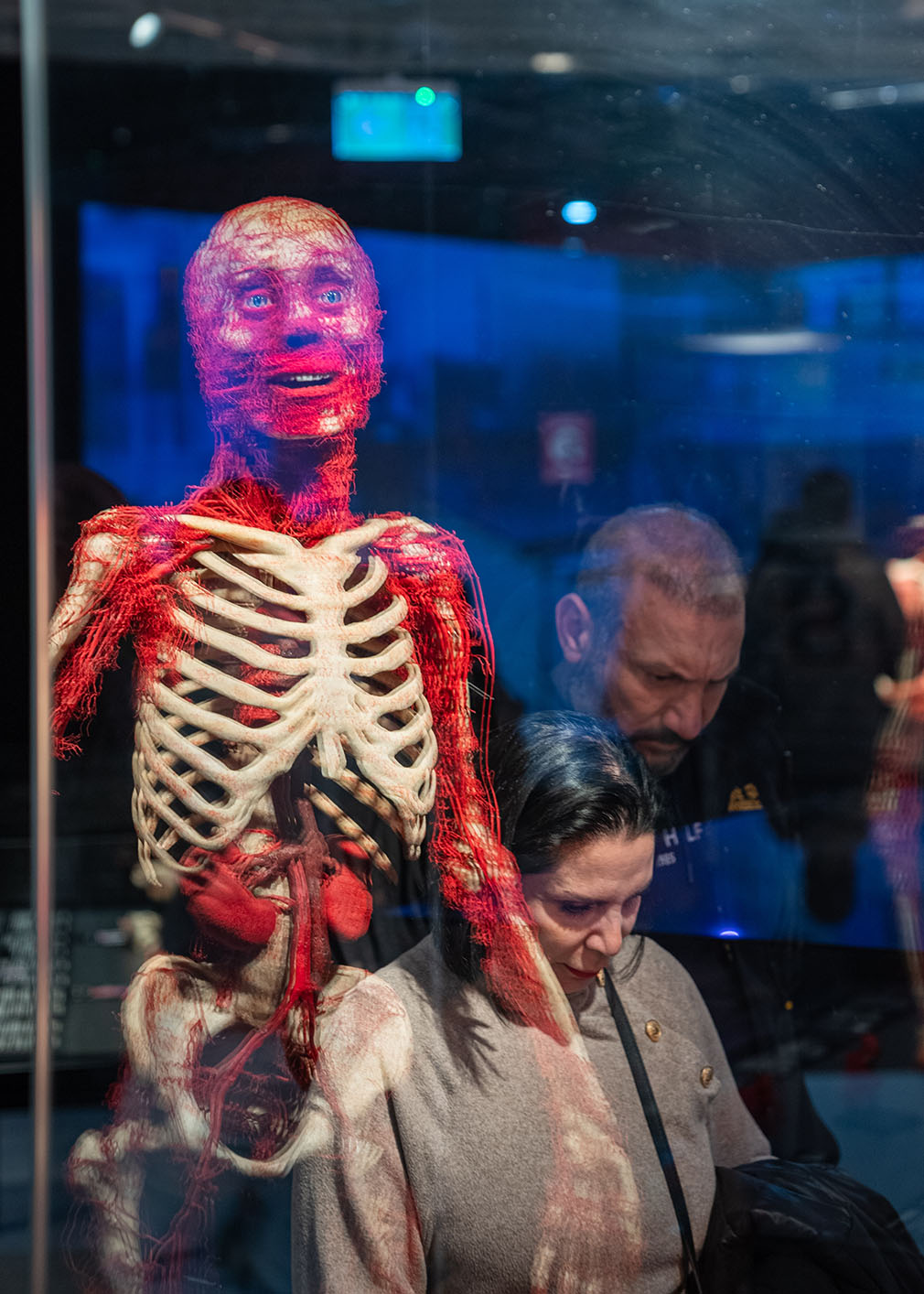 Body Worlds